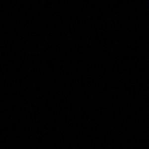 Meet your Posher, Eliza